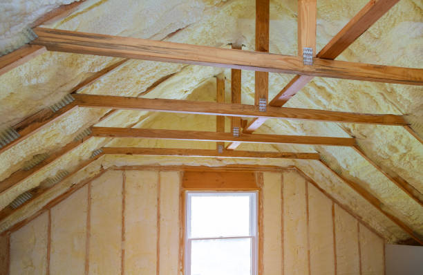 Best Eco-Friendly Insulation in Centreville, MD
